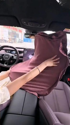 This Car Sun Shade Changes Everything! ☀️🚗🤯