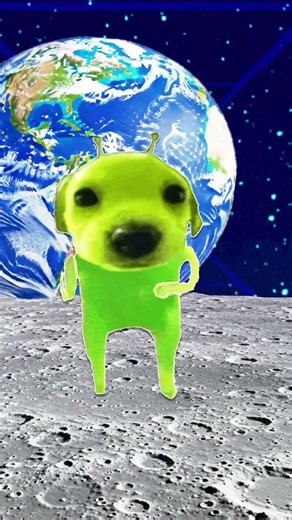 POV: that alien dog onto an asteroid that’s colliding into earth