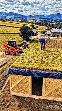 “Is Ghar ke Niche Secret Bunker 😳 Andar kya mila #status #viral #shorts #ytshorts