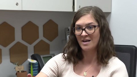 Denver Public Schools Foundation stepping up as SNAP delays hit schools, families