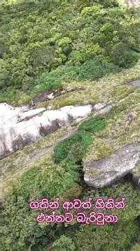 Tomorrow is my day? හෙට ආයෙත් යන්න ට ඇත්නම්!