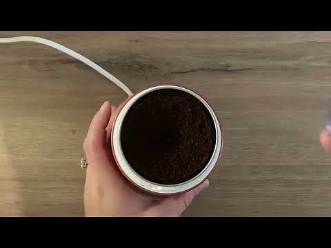 MOULINEX l Test et avis sur l'original grinder : Le moulin à café pour bien commencer la journée !