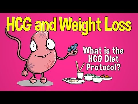 HCG and Weight Loss: What is the HCG Diet Protocol?