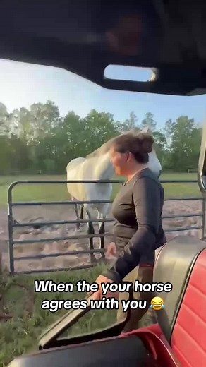 “Yep that’s right.”- Horse 🐴 @Barstool Outdoors (via:@SL Thomas)