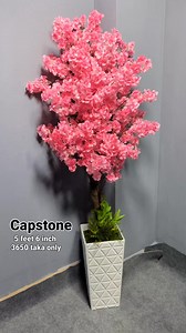 59K views · 782 reactions | Capstone on Reels | Facebook