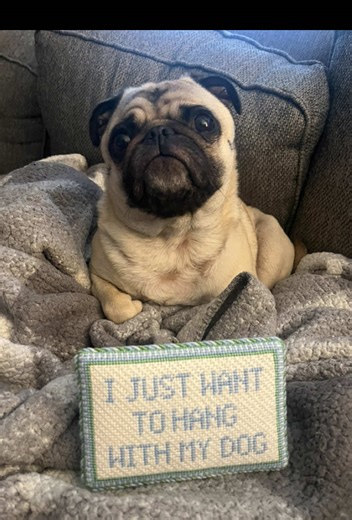 Happy finishing Friday from me, my really cute dog and my DMC floss collection!! @Barbara's Needlepoint @slsneedlepointdesigns #ndlpt #ndlptfinishing #needlepoint #barbarasneedlepoint #slsneedlepoint