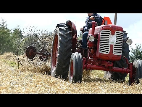 Bukh 452 Super Raking Straw w/ Vicon Acrobat Hayturner | Old Timers | DK Agriculture