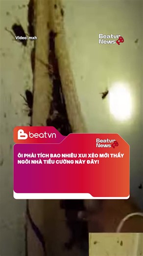 Mắc ói online #beatvn #BeatNetwork | Honda Beat