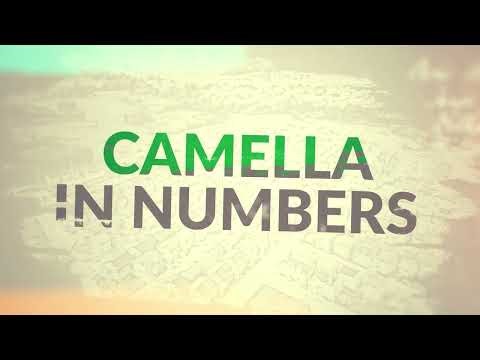 Camella in Numbers