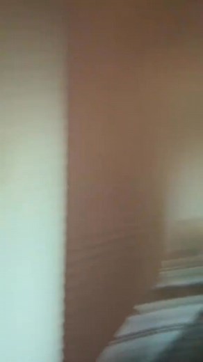 Beetle juiceee🤍🖤🤍🖤💚 #halloweencostume #halloween2023 #beetlejuice | Indigo star