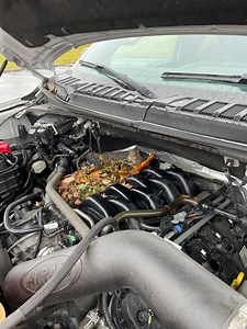 Engine Wiring Harness - Ford F150 Forum - Community of Ford Truck Fans