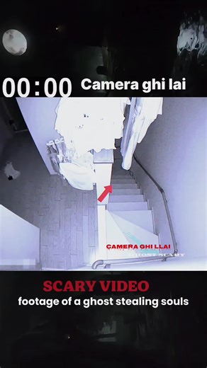 Haunted Animals: Chilling Ghost Sightings on CCTV