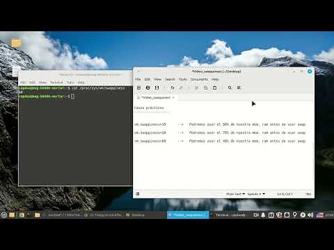 Swappiness y su Gestión en Linux (Mint, Ubuntu, +)