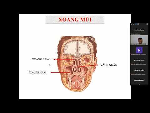 Cấu tạo mũi - xoang - hầu. 33p. Môn Giải phẫu sinh lý. Trần Khánh Phú