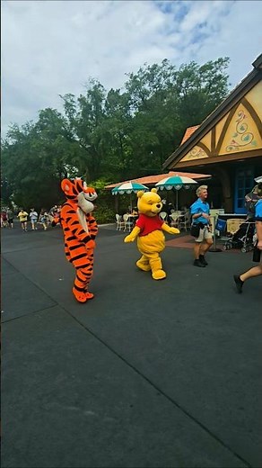 Winnie the pooh and tiger
