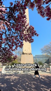 “Strolling through Central Park on a crisp spring day, surrounded by blooming flowers and lush greenery, is the perfect way to welcome the new season. The serene beauty of the reservoir, with its tranquil waters and picturesque views, is a haven of peace in the heart of Manhattan.” | Discover New York