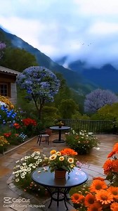 17K views · 215 reactions | Damar Türküler on Reels | Facebook