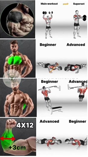 Best Muscle-Building Supersets & Exercise Progressions