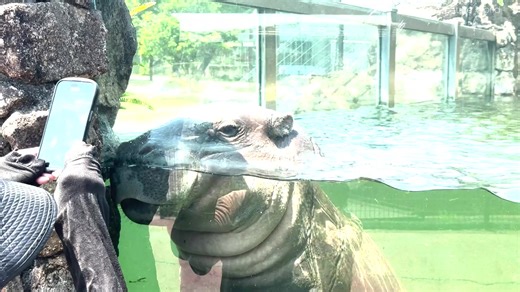 アドベンチャーワールド（Adventure world） on Reels