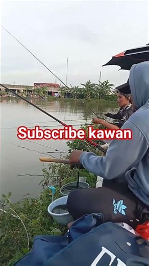 lomba mancing#shortvideo