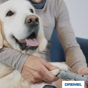 Trimming your dog's nails doesn't always have to be a hassle! With Dremel's pet grooming tool you can do this yourself in the comfort of your own home. Check out a happy puppa and our how-to guide down below! http://bit.ly/2PItjIx | Dremel UK