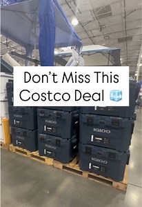 Igloo Yukon 70 Qt Cooler $30 Off at Costco (Item 1872196)