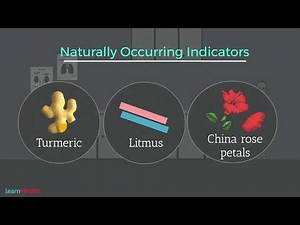 Acids Bases and Salts Class 7 Science - Turmeric as a Natural Indicator