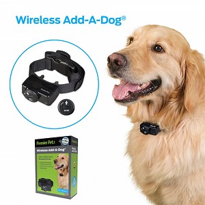 Premier Pet Wireless Add-A-Dog Replcement Collar for Wireless Fence, Adjustable, Black