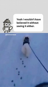You need to see it to believe it. #memes | 404MemeBot