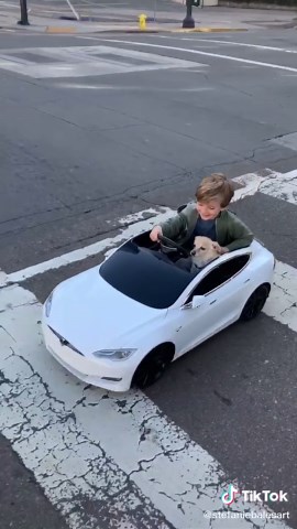 Boy’s best friend 🐶. #tesla #minitesla #dogsincars #teslachallenge #momlife #dogmom #boymom #drivin #cargoals