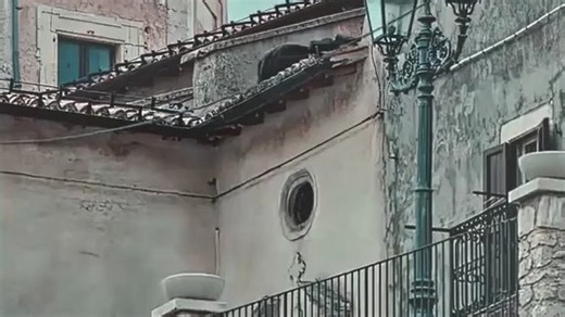 国外大片推荐 the American