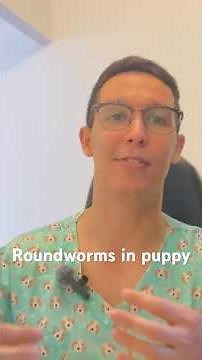 When To Go To The Vet If You See A Roundworm in Your Puppy 💩 #roundworm #dogcaretips #vettips