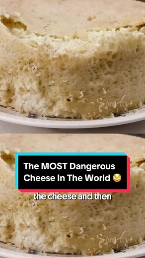Casu Marzu: The Most Dangerous Cheese In The World