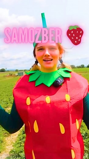 Jana Žampachová on Instagram: "JAHODA NA SAMOZBERE JAHÔD! 🍓 VIDEJKO UŽ TERAZ VONKU! #jahody #samozber #samozberjahod"