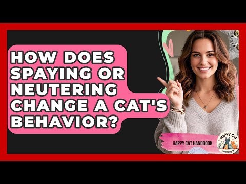 How Does Spaying Or Neutering Change A Cat's Behavior? - Happy Cat Handbook