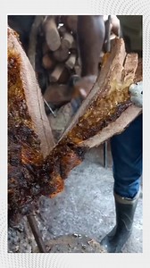 1.1M views · 16K reactions | ¿Qué corte es? te animás a adivinar? Te leemos en comentarios . . . . #parrilla #plancha #asado #asador #fogonero #elpotro #bbq #disco #fuego #brasas #campo #achuras #chinchulines #viedma #patagones #rionegro #asadoargentino | El Potro - Artesanías patagónicas para quinchos | Facebook