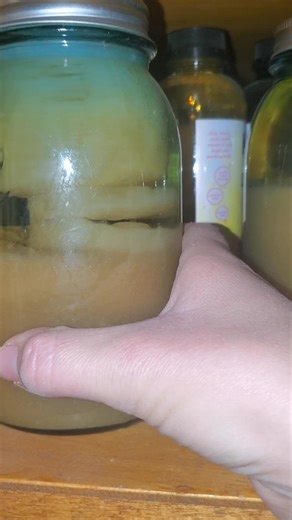 I was digging through the pantry for my freeze-dried sour cream today (because I needed it for a recipe and really didn’t want to change the menu or make a run to the store)… and while I found the sour cream, praise the Lord for that, I also found this little surprise! One of my jars of homemade apple scrap vinegar grew a beautiful “mother!” It honestly looks like a gelatinous, flaky biscuit floating in there, and I’m kind of obsessed. Only one jar formed one, which makes sense since the vinegar