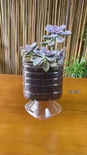 Transforming trash into treasurel | Plastic Recycling Art