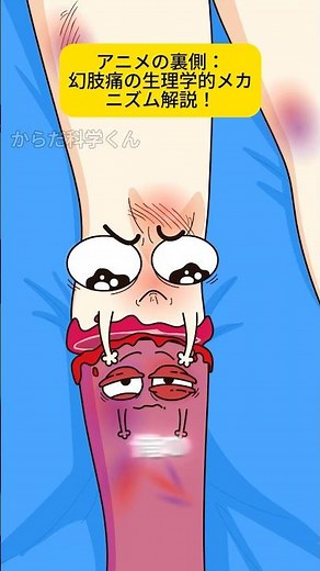 アニメの裏側：幻肢痛の生理学的メカニズム解説！#shorts