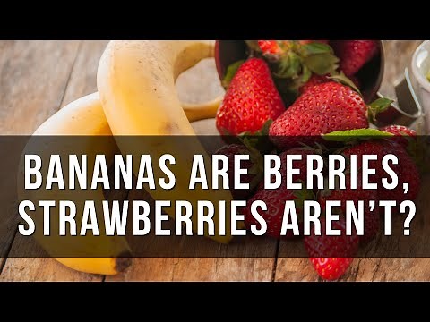 Why bananas are berries, but strawberries aren’t?
