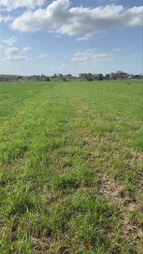 2.1K views · 28 reactions | With the summer storms starting to roll,...