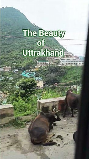 Mountain #Haridwar to Joshimath | Bus travel |