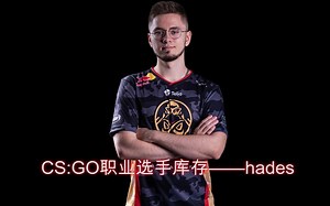 CS:GO职业选手库存——hades