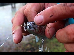 BASS Fishing with a ROBOTIC Lure