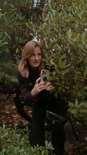 4.7K views · 16 reactions | Two best friends, a bold promise, and an unspoken attraction. When a scheming third wheel stirs the pot, will love blossom—or destroy everything? | Drama Pops | Facebook