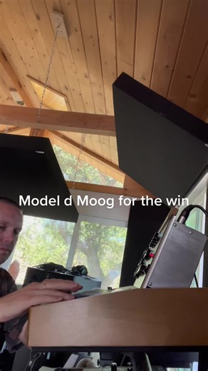 #moog #modeld