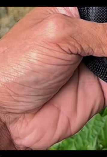 Inaabangan ka ba sa labas need mong ganitong camping tools