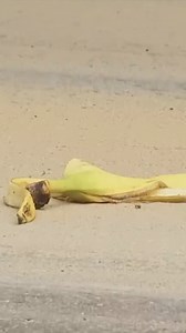 3.9M views · 10K reactions | #reels | Just For Laughs Gags | Facebook