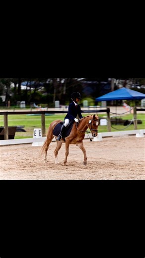 8 comments | Ciara first Grade 4 competition. She wanted to end the year trying something new with Vinnie. She never expected to come 2nd 賂 in her open grade 4 . She and Vinnie did a great dressage test with a beautiful clear round at showjumping which truly brought happy tears for me seeing how much love Vinnie and Ciara have for each other . He will do anything for her with her bravery. So much love for this golden boy 﫶 | Isuri Auwardt | Facebook
