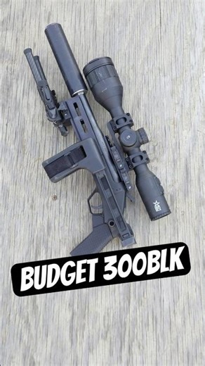Subsonic 300 Blackout Put of a Rossi Brawler